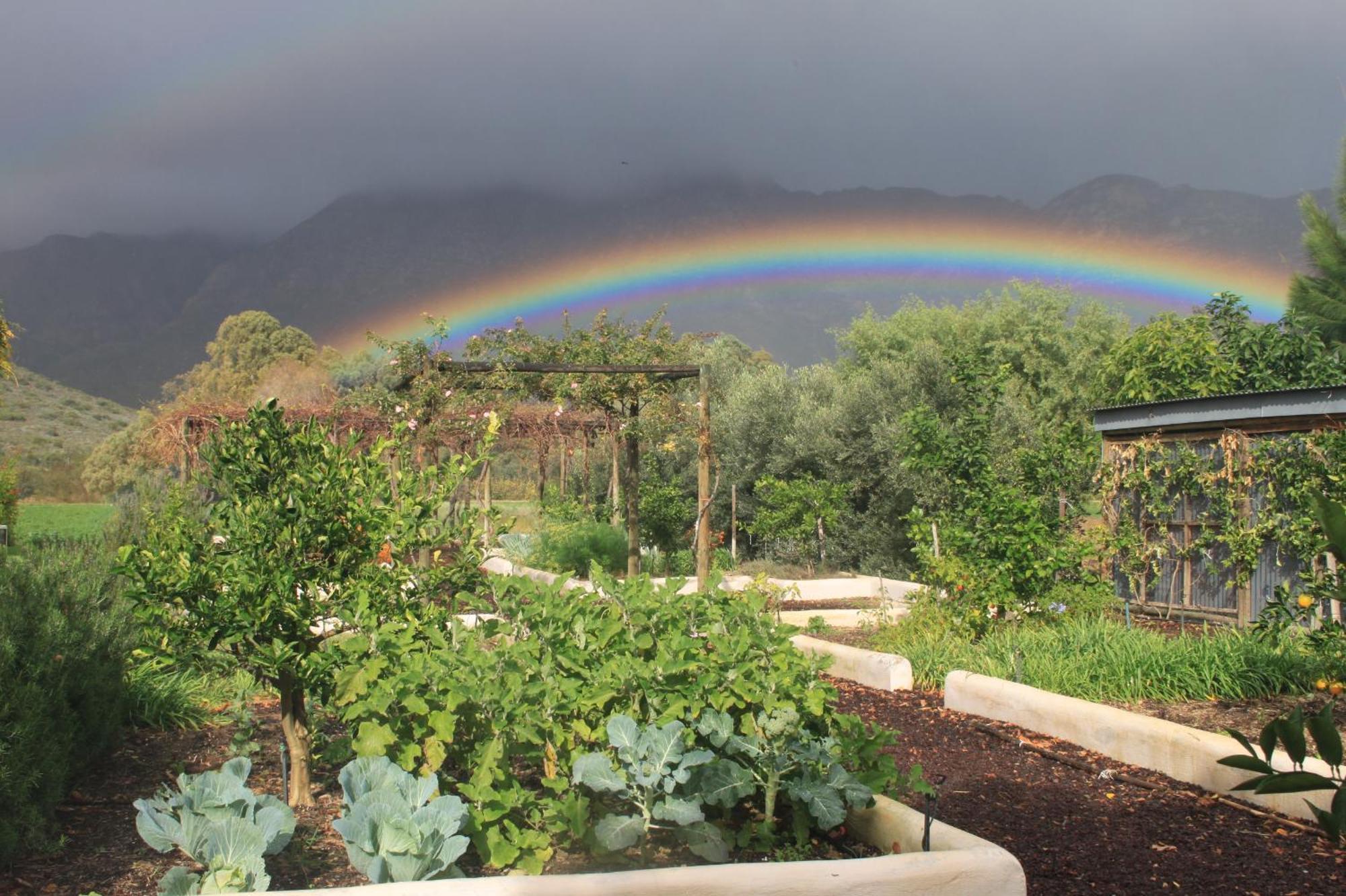 The Barn On 62 - Cottages مونتاغو المظهر الخارجي الصورة